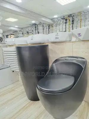 Exclusive Back to Wall Wc With High Standard