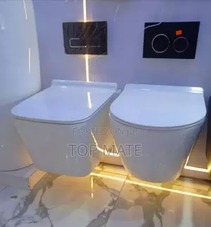 Uk Executive Wall Hung Wc Ideal