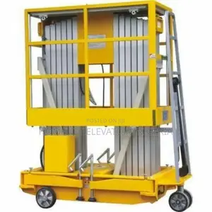 Platform Capacity of 300kg Vertical Mast Lift