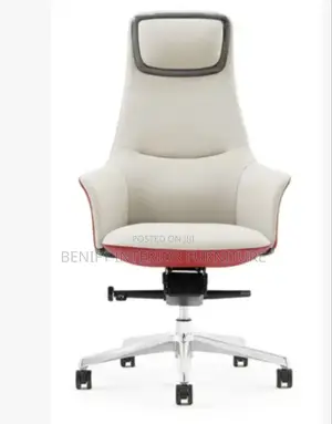 Executive Director Office Chair