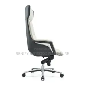 Ergonomic Executive Director Office Chair