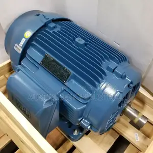 Weg Electric Motor 40hp 2940 / 3555 RPM