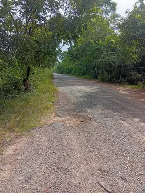 500 Acres of Land for Sale Along Abeokuta Ibadan Road