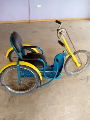 Tricycle Wheelchair