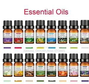 Essential Humidifier Diffuser Oil
