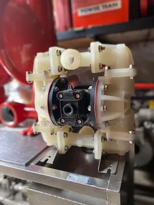 1/2" Plastic Wilden Pump