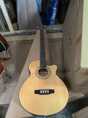 Semi Acoustic Bass Guitar