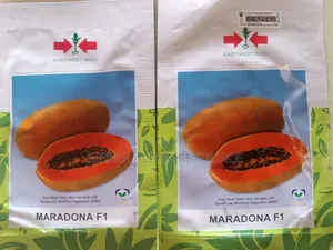 Maradona F1