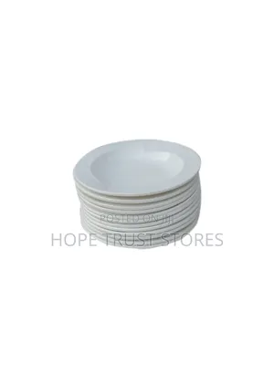 12pcs of Deep Melamine Plate Big