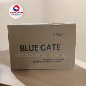 Blue Gate UPS Battery - 12V 7AH