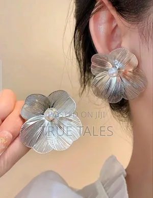 Ladies Silver Colour Mesh Earrings Design