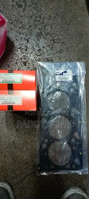 Ford Escape Ecoboost Head/Top Gasket 2.0l