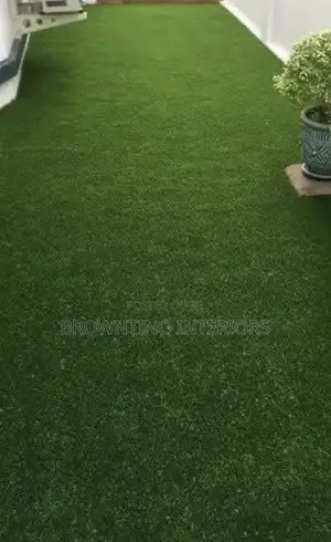 Dubia Best Artificial Grass or Carpet Grass