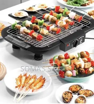 Electric Barbecue Grill