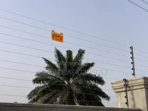 Electric Wire Fence Installation Powered With Solar