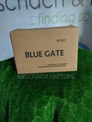 Blue Gate UPS Battery 6fm7
