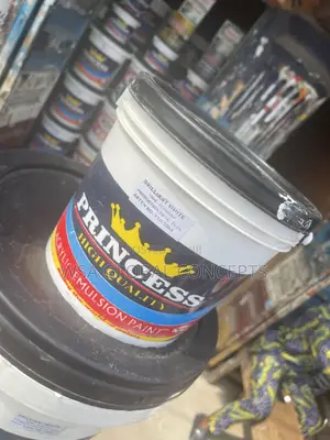 4 Liters High Quality Princess Emulsion Paint