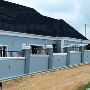Professional Paint Production and House Painter