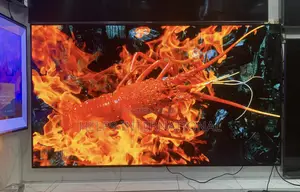 Beasty 77” 2023 LG OLED EVO G-class 4K Smart TV