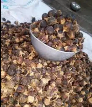 Gorontula Fruit, Silky Kola, Snot Apple