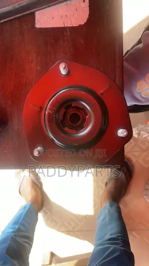 Lexus Rx350 Shock Absorber Mount
