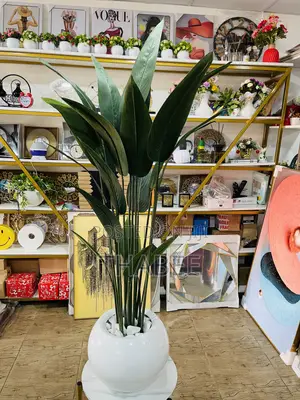 Artificial Skybird Plant With Stones in Round White Fibrepot
