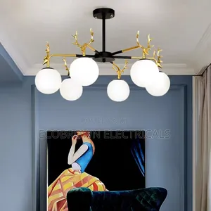New Chandelier Fitting Light
