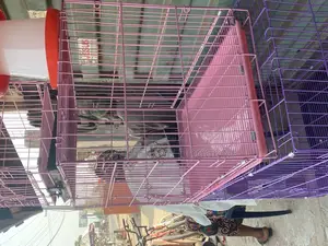 Collapsible Cages