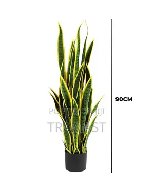 Fake Snake Plants | Wholesale Of Quality Plant In Nigeria