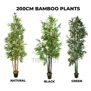 Artificial Bamboo Trees | Upgrade Your Home | Buy Now