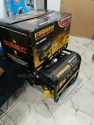 High-Grade Firman 3500W Generator(Fpg4800e2)