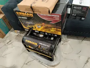 Top High-Quality Firman 3500W Generator(Fpg4800e2)
