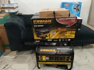 Industrial Grade Firman 3500W Generator(Fpg4800e2)