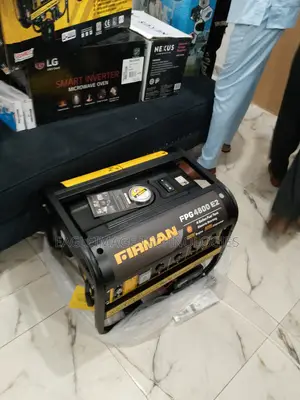Compact Design Firman 3500W Generator(Fpg4800e2)