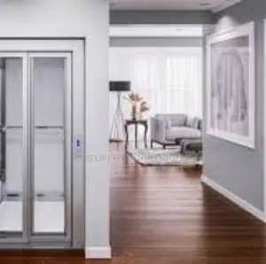 Elevator Mini Home Lift by Homelift Elevators
