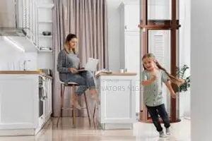 8m 130kg Cheaper High Quality Single Home Elevator