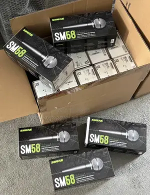 Shure SM58 Microphone