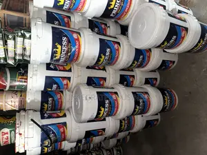 Princess Emulsion Paint White and Other Colors Available