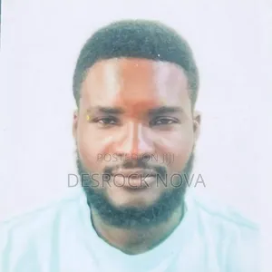 Driver in Lagos