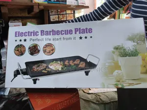 High Quality Multifunctional Electric Barbeque Grill Plate
