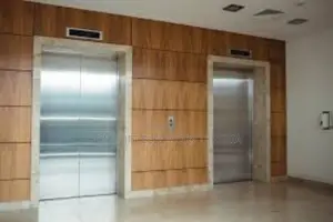 Homelift Elevators Residential Lift