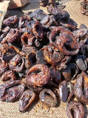 Lake Chad Roud Fish in Cartons