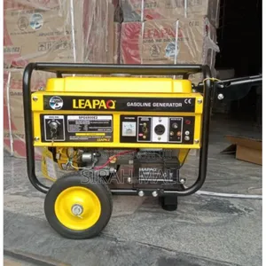 Leapaq 100% Pure Cooper Coil Generator Automatic, Big Coil