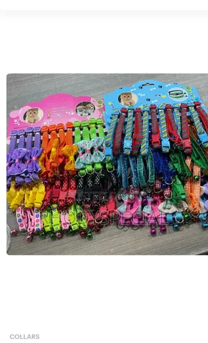Variety Puppy/Cat Collar With Display Card