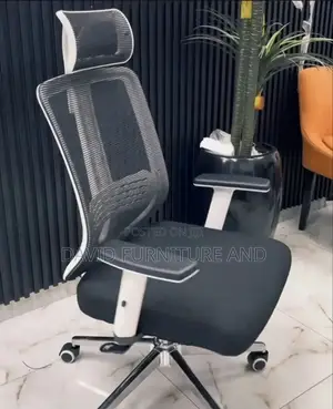 Ergonomic Chair