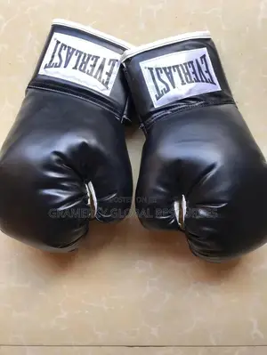 Everlast Boxing Gloves