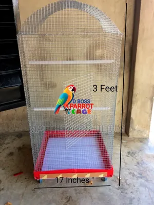 D'boss Cages The Perfect Cage For Small Bird And Big Bird
