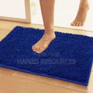 Shaggy Absorbent Foot Mat Doormat