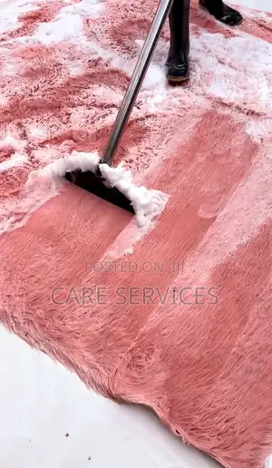 Professional Carpet/Rug Cleaning