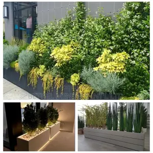 Quality Artificial Plant and Flower for Interior Design